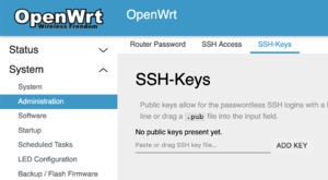 The ssh-keys tab.